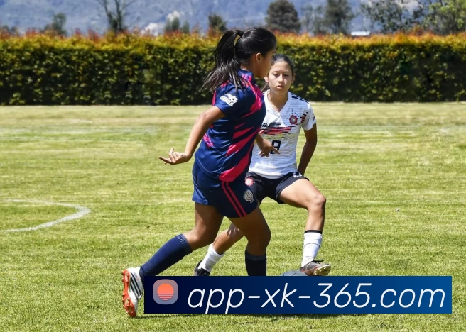 XK体育App品牌故事